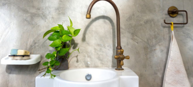 concrete bathroom wall with plant