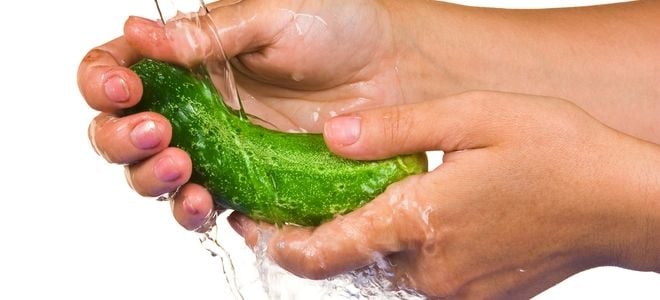 washing a pickle