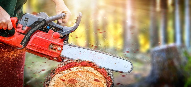hands using chainsaw to cut a log in the forest