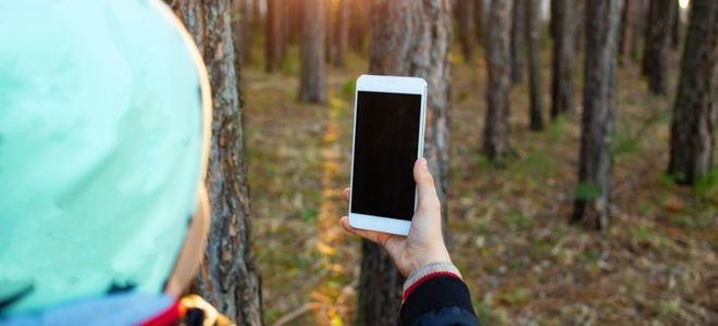 A hiker holds a smart phone in a forest.