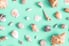 natural interior design with sea shells on a bright teal wall