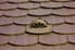 A stylized roof vent surrounded by matching brown tiles.