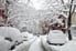 A blanket of snow covering trees and cars. 