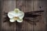 An orchid flower arranged over vanilla beans against a wood background.