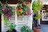 A patio with plants and a couple colorful hanging garden baskets. 
