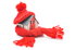 A house wrapped in a red scarf and hat.