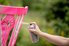 A chair being spray painted pink.