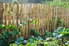 a pretty vegetable garden with a slat fence