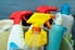 various cleaning supplies in a bucket