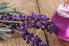 bottle of lavender oil and lavender herb