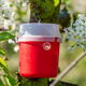 A red insect trap hanging in a tree.
