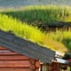 Green Roof Construction: Mistakes to Avoid