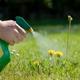 5 Weed Killers that Won't Harm Plants | DoItYourself.com