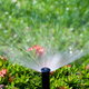 sprinkler watering a lawn and a flowering bush