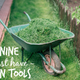 9 Essential Tools for Your Best Lawn