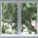 horizontal sliding windows in front of trees