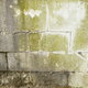moldy concrete wall