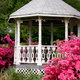 A white gazebo is surrounded by bushes blooming with pink flowers.