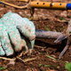 A pair of gardening gloves and gardening tools laying on freshly worked soil.