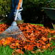 Close up of a rake collecting leaves in a pile.