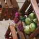 upcycled crate shelving holding fruits and vegetables
