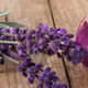 bottle of lavender oil and lavender herb