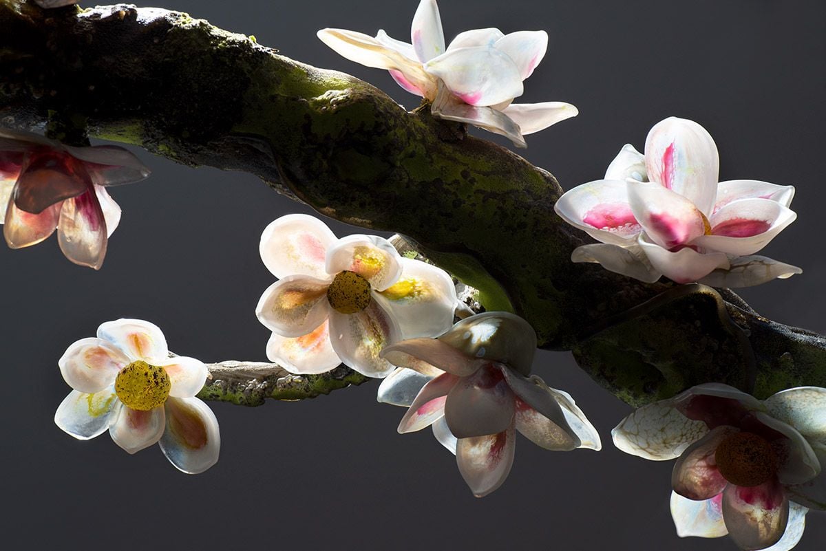 Close-up of the delicate blown-glass flowers perched along the branches of Moore's magnolia tree. 