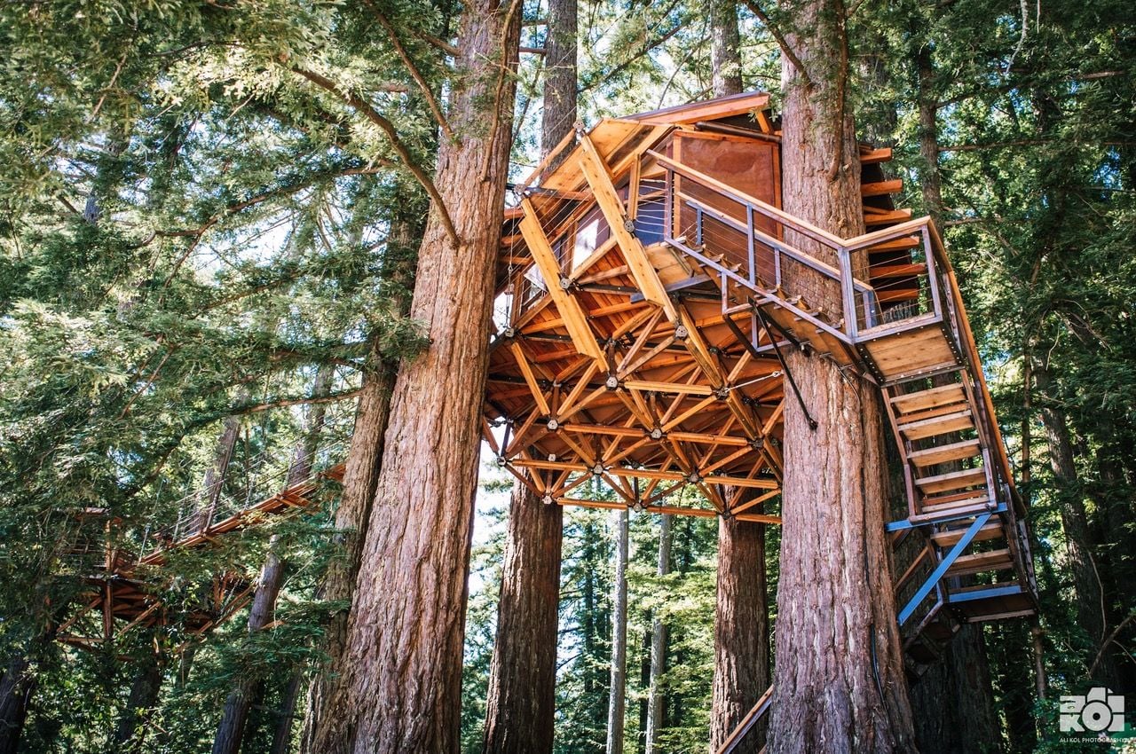 Each Treewalkers tent is built on a super-sturdy tetra-truss.