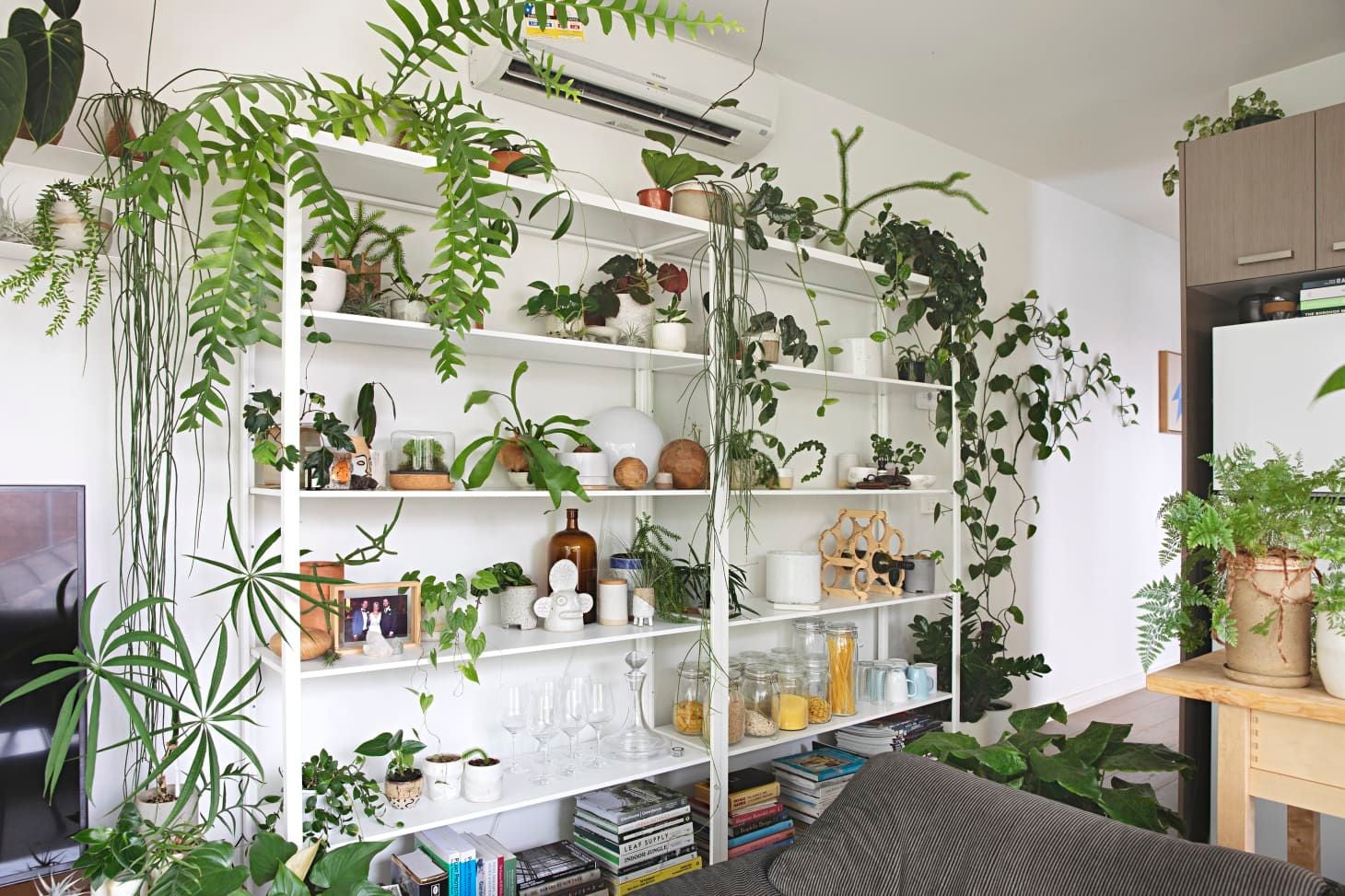 By incorporating ample greenery on a relatively out-of-the-way shelf, this interior reconnects itself to the natural world. 