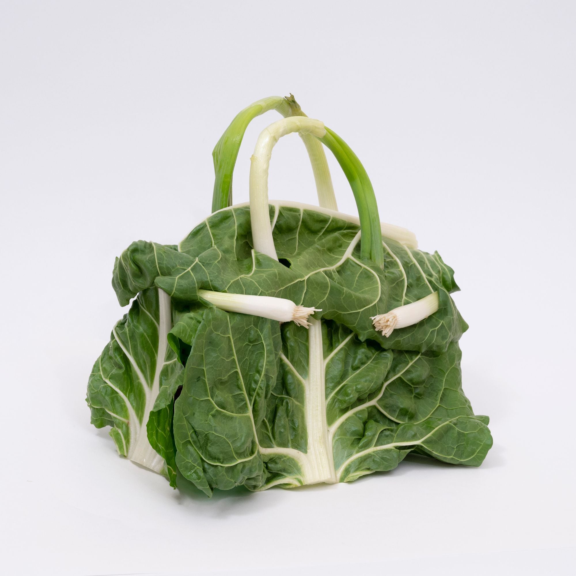 An all-cabbage version of luxury fashion brand Hermes' iconic 
