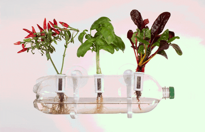 GIF illustrates all the planting possibilities the Bottle Farm allows for. 