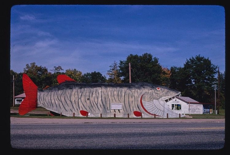 a restaurant decorated like a fish