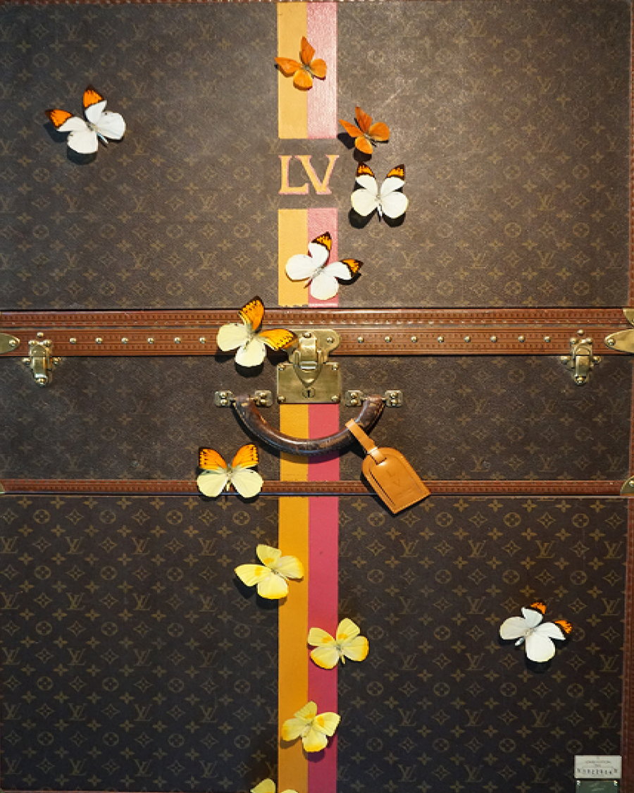 Roman Feral's butterflies rest on the entrance of a Lous Vuitton case.