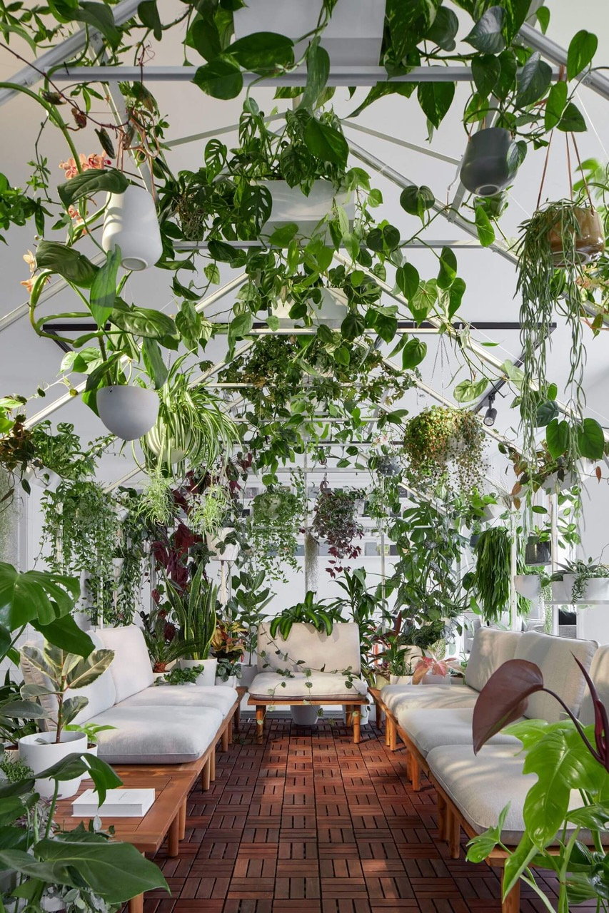 Over 100 species of plants fill the spaces in Poetizer's gabled indoor greenhouse.