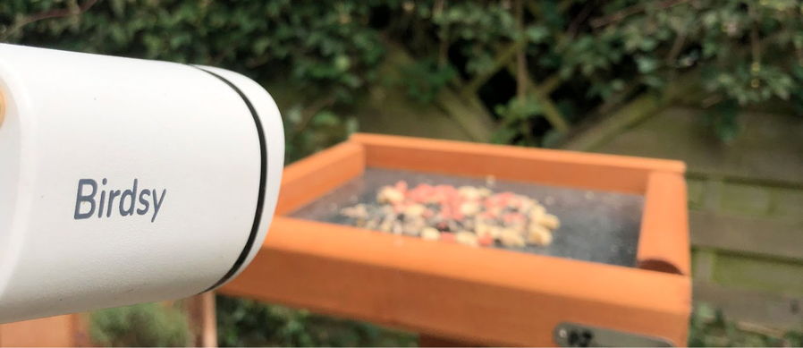 The Birdsy AI camera closely monitors a small outdoor feeder. 