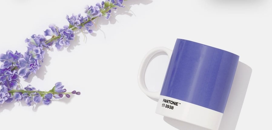 Mug next to lavender plant shows just where 
