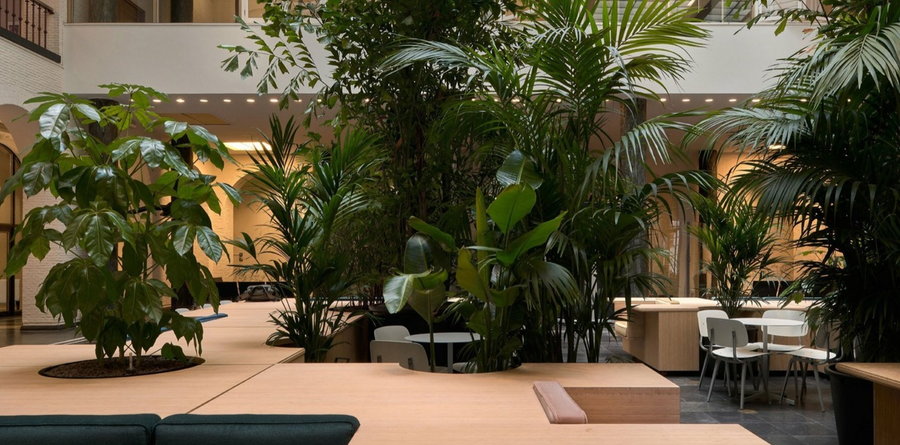 Mobile bamboo work islands at the University of Amsterdam's Maagdenhuis Hall provide portable seating, tables, and co-working spaces to students, staff, and visitors.