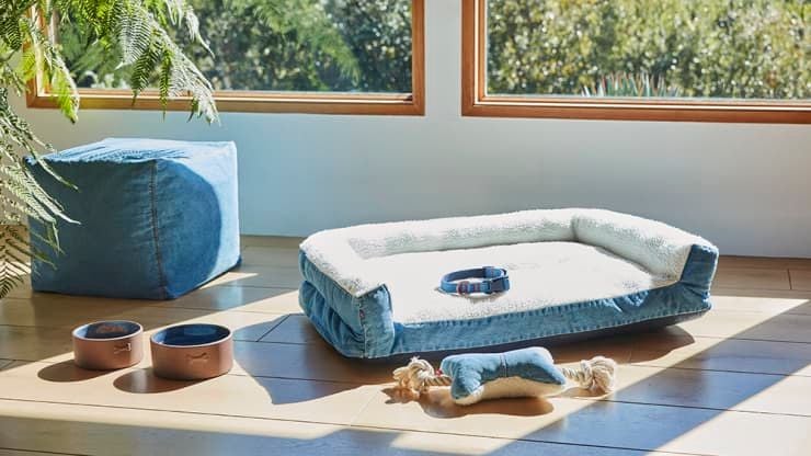 Adorable denim dog accessories featured in the collaborative new Levi's X Target home collection.