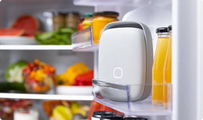 Shelfy Smart Purifier placed in a refrigerator shelf to keep the food inside fresher for longer.