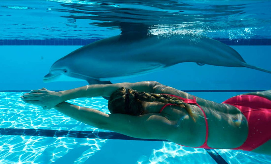 Woman swims alongside the Edge Innovations' robotic dolphin prototype.