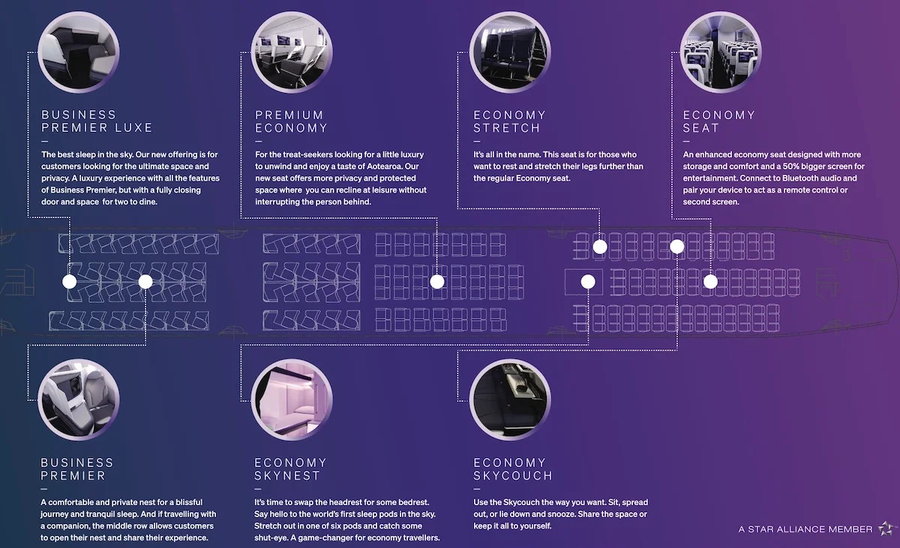 Graphic shows all the different seating options available on Air New Zealand's 2024 fleet of Dreamliners.