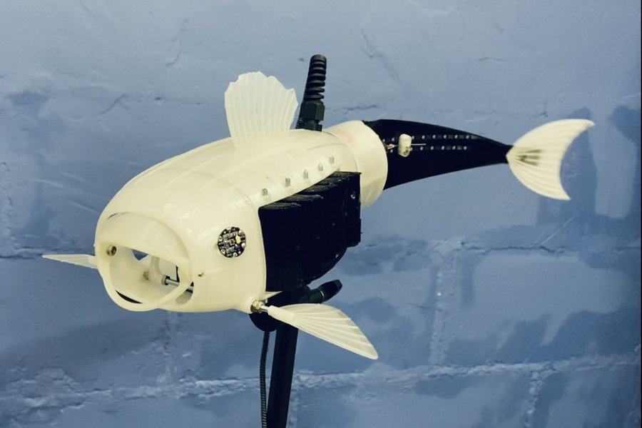 Gillbert, a microplastic-collecting robotic fish created by University of Surrey chemistry student Eleanor Mackintosh.