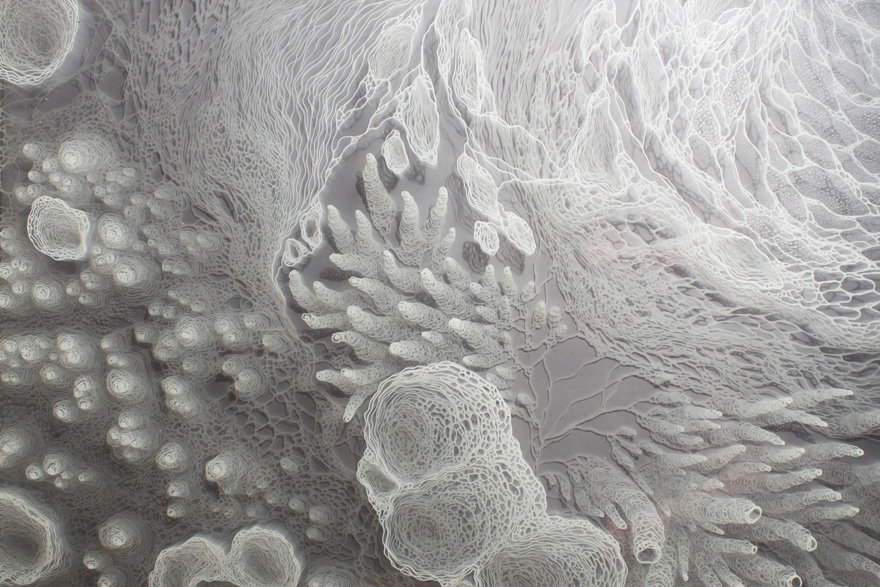 Close-up of the intricate layered drawings that go into Claudia Bueno's 