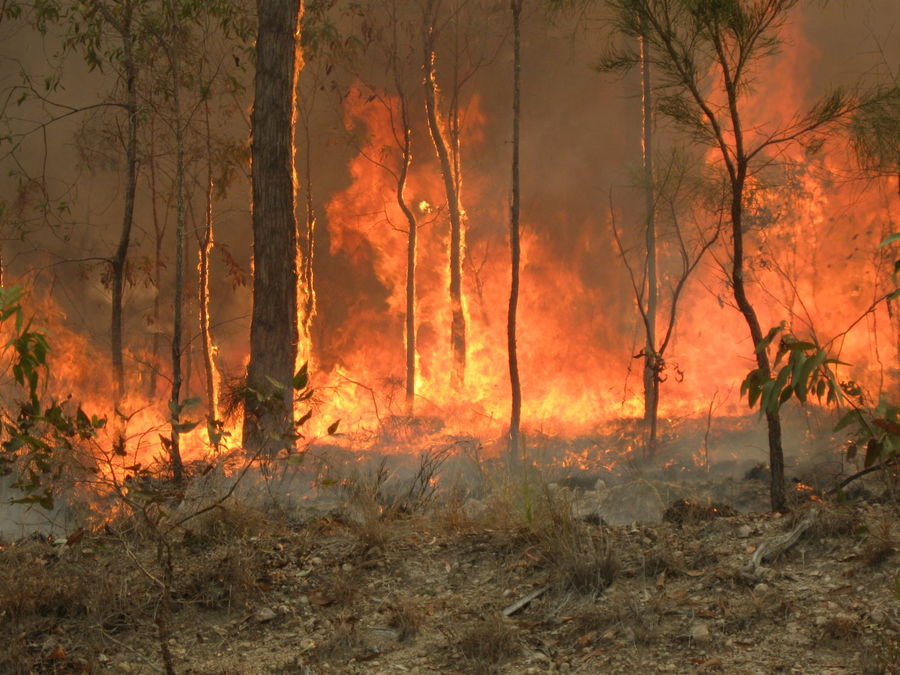 Shot of the Australian Wildfires raging all throughout the continent.