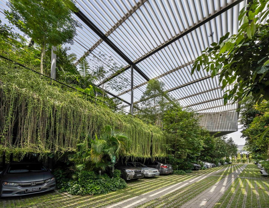 Verdant parking area in the new 