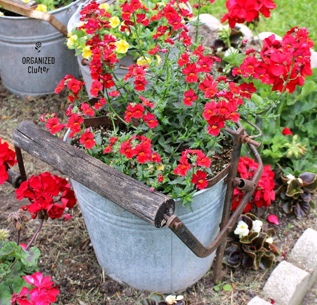A DIY galvanized bucket full of luscious red annuals (courtesy of Organized Clutter). 
