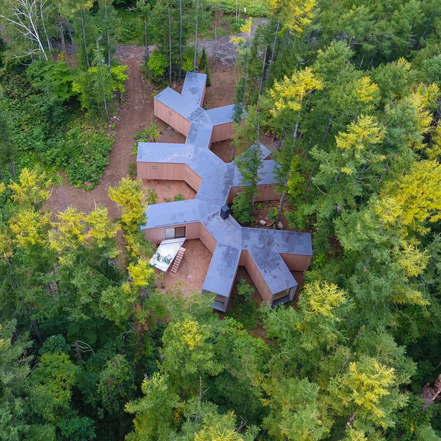 When seen from above, the house's branch-like structure becomes a lot more obvious.