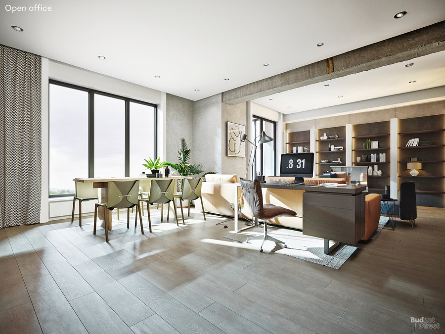 Budget Direct Home Insurance's Living Room-to-Workspace Conversions: Open Office