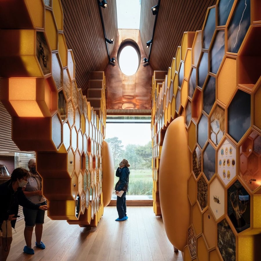 Visitor admires the Beezantium's honeycomb-shaped interior walls.