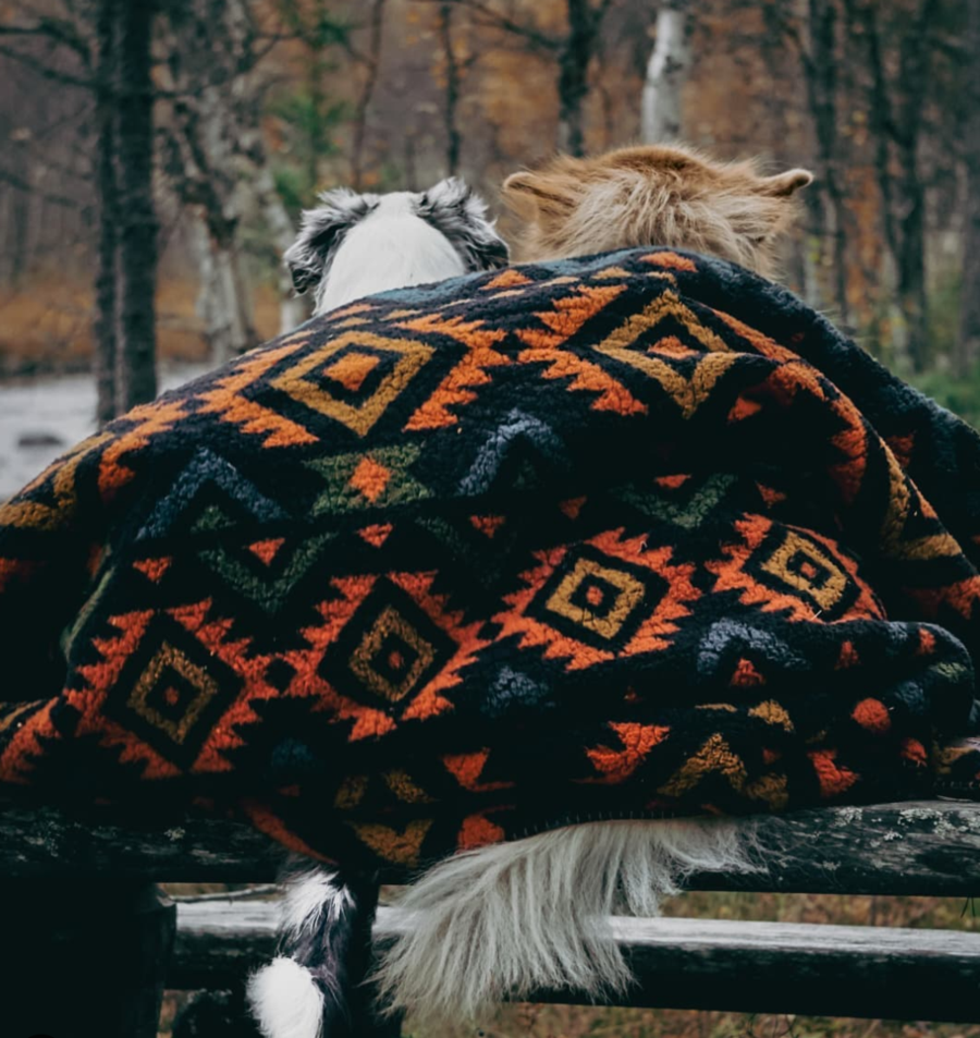Two dogs enjoy the great outdoors while keeping themselves warm under a thick, cozy blanket.